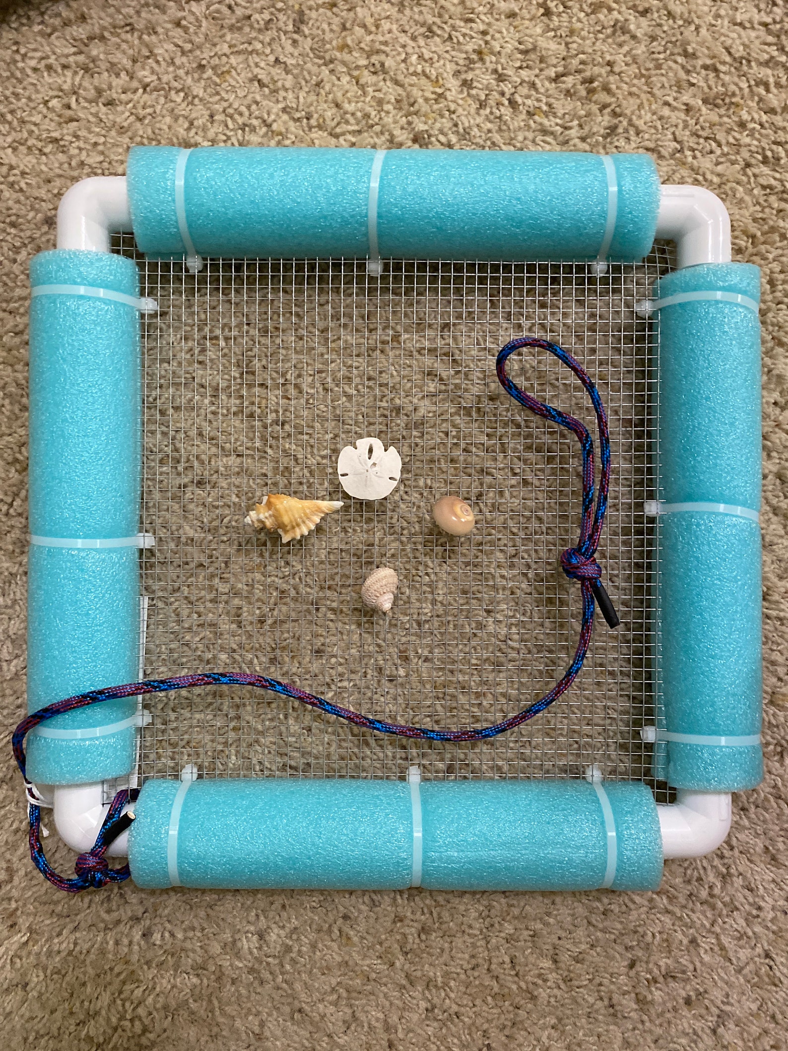 Shell and Sharks Tooth Sifter Etsy