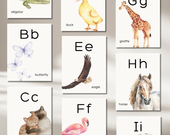 Alphabet Cards Printable, Printable Animal Alphabet Cards, Homeschool Resources, Alphabet Learning Cards, Alphabet Classroom Flashcards