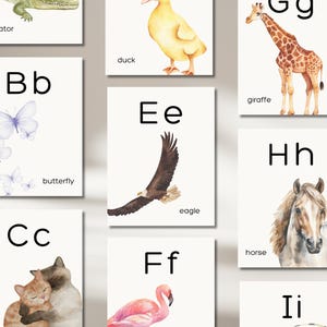 Alphabet Posters Printable, Printable Animal Alphabet Posters, Homeschool Resources, Alphabet Learning Cards, Alphabet Classroom Posters