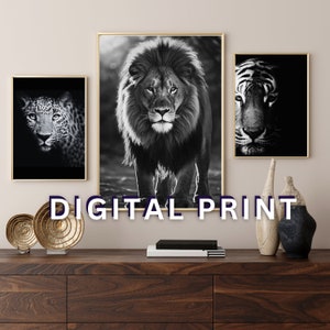 African Big Cats, African Animals, Lion Portrait, Black and White, Digital Print, Lion, Tiger, Leopard, Portraits, Wall Art, Wall Decor