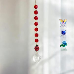 Suncatcher Sonnenfänger Kristall Marienkäfer Regenbogen Maker in Geschenkbox mit Karte und Spende