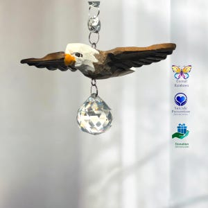 Eagle SunCatcher Rainbow Maker dans une boîte cadeau avec carte et don