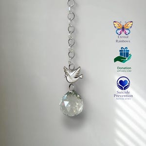 Atrapasueños para crear arcoíris de palomas en caja de regalo con tarjeta y donación - Bodas - Cumpleaños - Conmemoraciones - Amistad