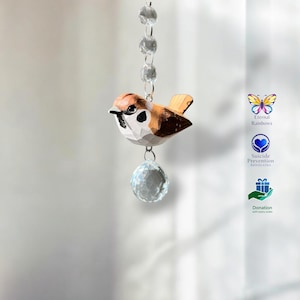Suncatcher Kristall Spatz Regenbogen Maker in Geschenkbox mit Karte und Spende