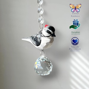 Suncatcher Kristall & Holzspecht Regenbogen Maker in Geschenkbox mit Karte und Spende