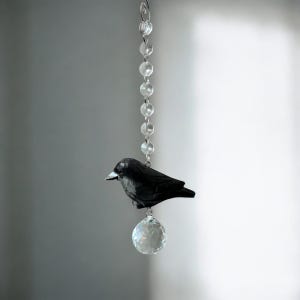 Atrapasueños de cristal con forma de cuervo arcoíris en caja de regalo con tarjeta y donación