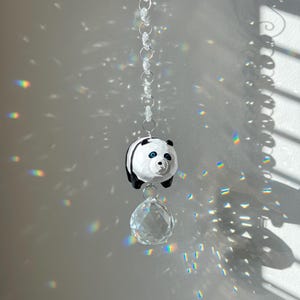 Sonnenfänger Kristallpanda Bär Regenbogen Maker in Geschenkbox mit Karte und Spende