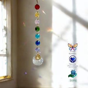SunCatcher Rainbow Bridge Pet Memorial Crystal Rainbow Maker in confezione regalo con biglietto e donazione