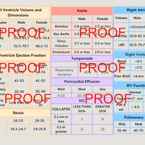 Echo Cheat Sheet Echokardiogram Raport Echo Tech Echo przewodnik do nauki POCUS Echo arkusz roboczy Ultrasonografia Tech USG student