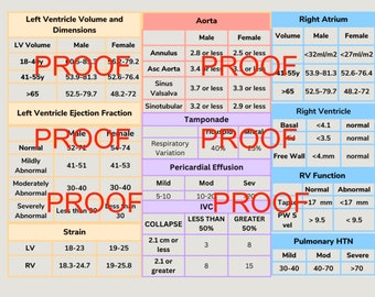 Ekokardiogram Ekokardiogram Ekokardiogram Ekokardiogram Studieguide för ekokardiogram POCUS Ekokardiogram Arbetsblad för ekokardiogram Ultraljudstekniker Ultraljudsstudent