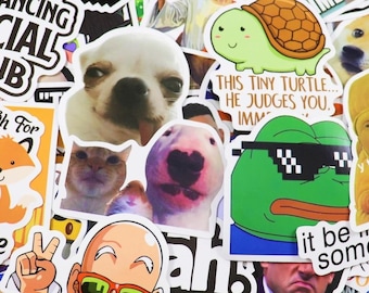 May include: A collection of colorful stickers featuring various designs. Includes a white dog, a green turtle with the text "THIS TINY TURTLE... HE JUDGES YOU.", a green frog with sunglasses, and a fox. The stickers have a variety of text.