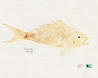 Gyotaku Fish Printing Replicas