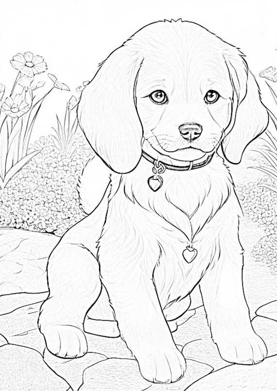 Dog Sketchbook for Kids ages 4-8 Blank Paper for Drawing.