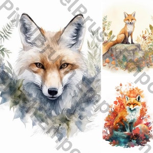 Enchanting Forest Fox Clip Art Bundle Woodland Art, Commercial Use, PNG