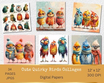 Cute Funny Bird Collages Quirky Bird Illustrations Whimsical Birds Flowers Sublimation clipart whimsy graphics watercolor cartoon bird faces