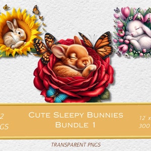 Watercolor Sleeping Baby Bunny Clipart Bundle 1, 22 PNG Bunny Graphics Clipart, Bunny and Flowers Bundle, Bunny Nursery Print,Commercial Use