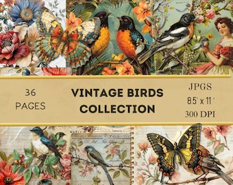 Beautiful Birds Collection - Digital Download - Antique Postcards and Ephemera - Printables for Journaling and Art