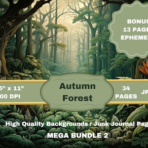 Arrière-plan de la forêt, forêt d'automne, fond de journal numérique indésirable, lot, collage forestier imprimable, journal numérique indésirable, journal nature papier