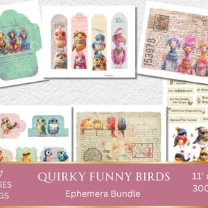 Funny Birds Junk Journal Ephemera Kit, Whimsical Scrapbook Fussy Cuts, Vintage Handmade Crafts, Digital Download, Envelopes, Tags, Pockets