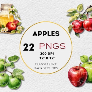 Botanischer Apfel Clipart - 22 hochauflösende PNGs für Scrapbooking, Digital Journal, druckbar mit kommerzieller Nutzung, digitaler Download