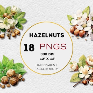 Puede incluir: 18 ilustraciones digitales de avellanas y flores de avellano. Las ilustraciones están realizadas en estilo acuarela y presentan una variedad de colores, incluyendo verde, marrón y blanco. Las ilustraciones son perfectas para usar en proyectos de manualidades, scrapbooking y otras actividades creativas.