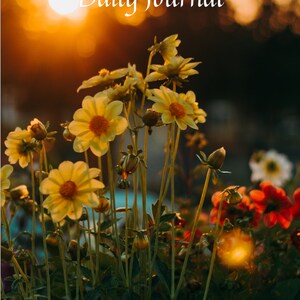 Daily Journal / undated / Journal / Planner