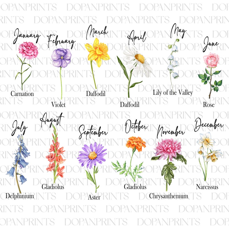 Puede incluir: Un gr&aacute;fico de flores que representan cada mes del a&ntilde;o. Enero es un clavel, febrero es una violeta, marzo es un narciso, abril es una margarita, mayo es un lirio de los valles, junio es una rosa, julio es un delfinio, agosto es un gladiolo, septiembre es un aster, octubre es una cal&eacute;ndula, noviembre es un crisantemo y diciembre es un narciso.