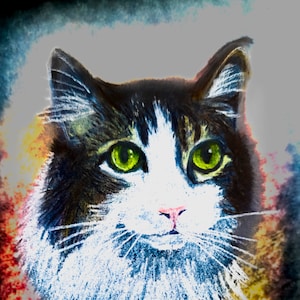 Könnte beinhalten: Ein Nahaufnahmeporträt einer Katze mit grünen Augen und weißem Fell. Die Katze ist in einem realistischen Stil mit einem weichen, strukturierten Hintergrund gemalt.