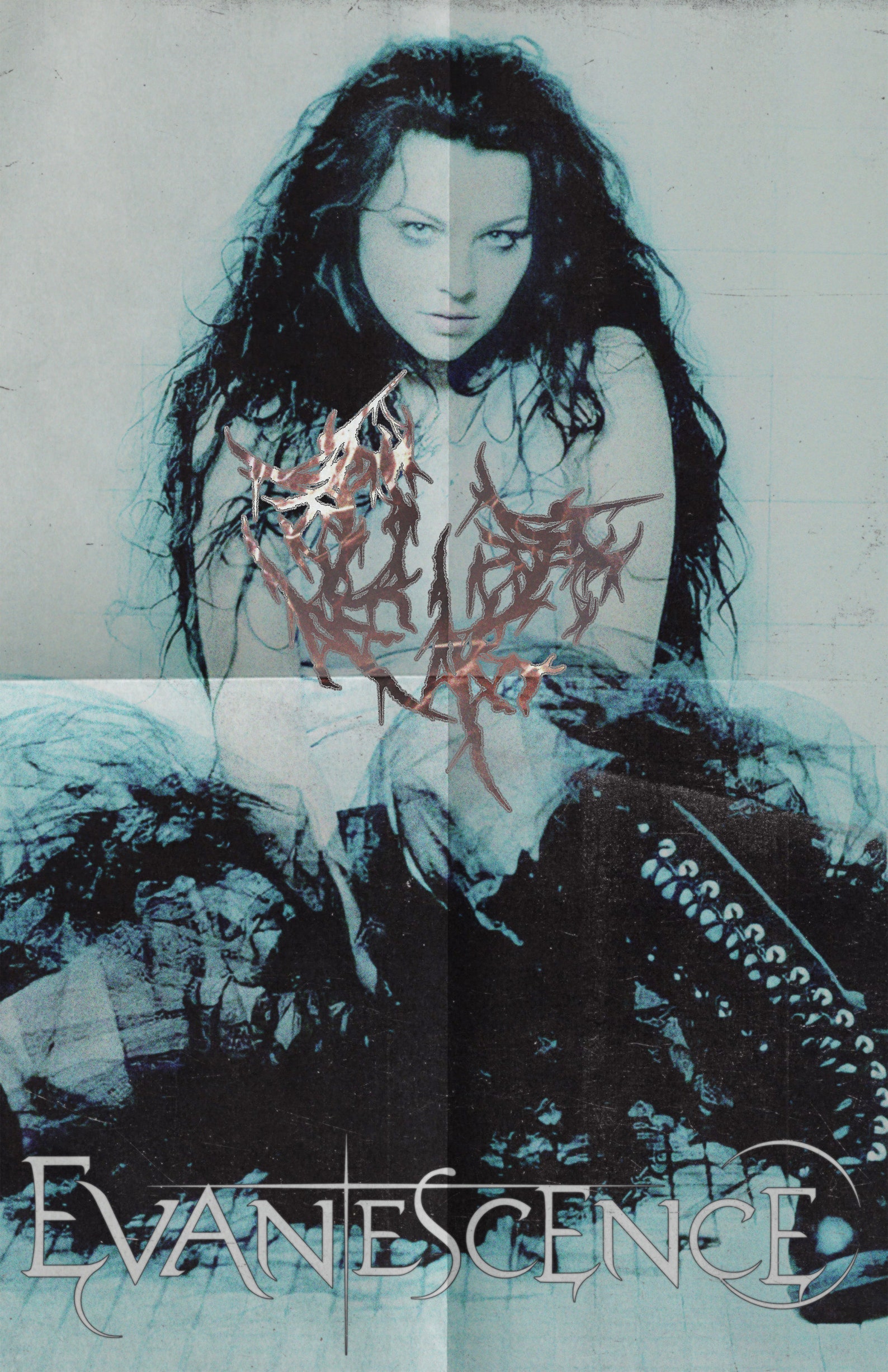 Evanescence Poster - Etsy