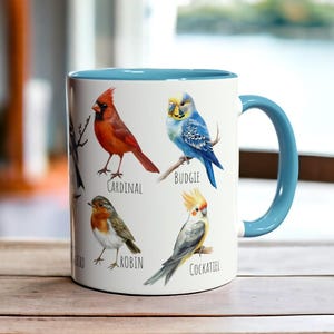 Op de afbeelding: Een witte keramische mok met een lichtblauwe binnenkant en handvat, voorzien van kleurrijke illustraties van een rode kardinaal, een blauwe grasparkiet, een bruin-oranje roodborstje en een grijs-gele valkparkiet, elk met de naam in zwarte tekst.