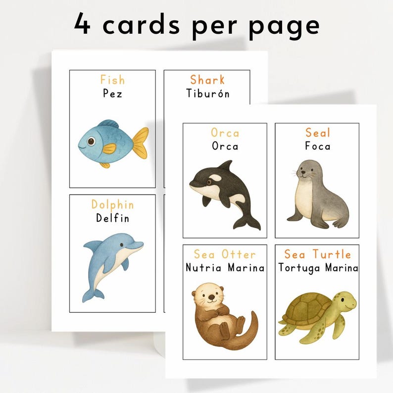 Bilingual Sea Animals Flashcards | English & Spanish Ocean Animal Cards ...