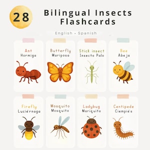 Puede incluir: Ocho tarjetas didácticas bilingües de insectos, con nombres en inglés y español. Cada tarjeta presenta una colorida ilustración de un insecto, como una hormiga, mariposa, insecto palo, abeja, luciérnaga, mosquito, mariquita y ciempiés.