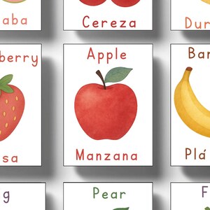 May include: A set of illustrated fruit flashcards. One card features a red apple with a green leaf and the word "Apple" above and "Manzana" below. Other cards show a strawberry, banana, and other fruits.