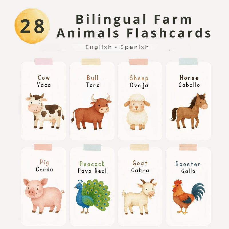 Animal Flash Cards - Etsy