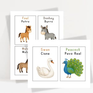 May include: Educational flashcards with watercolour illustrations of farm animals. The cards show a foal, donkey, mule, swan, and peacock, with their names in English and Spanish. The background is white.
