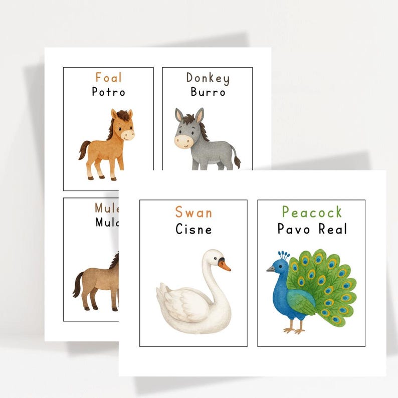 Bilingual Farm Animals Flashcards | English & Spanish Vocabulary Cards ...