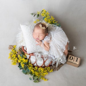 May include: A newborn baby girl wearing a white lace dress and a gold crown sleeps in a wicker basket lined with white faux fur. The basket is surrounded by yellow mimosa flowers.