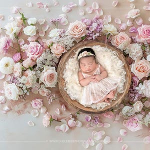 May include: A newborn baby girl sleeping in a white fluffy basket surrounded by pink and white flowers and petals.