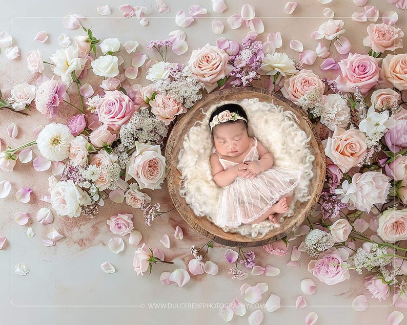 May include: A newborn baby girl sleeping in a white fluffy basket surrounded by pink and white flowers and petals.