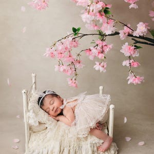Lace Newborn Dress: Tulle Photography Prop Set image 10
