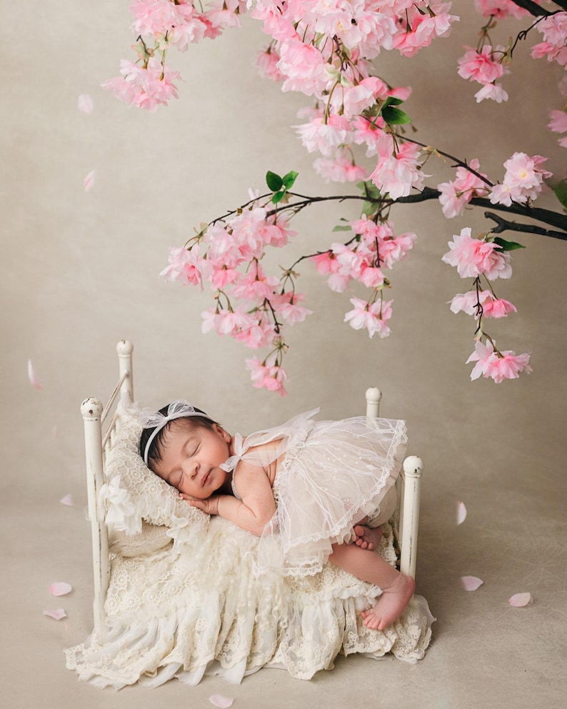 Lace Newborn Dress: Tulle Photography Prop Set image 10