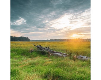 Squamscott Sunrise Print | NH | Landscape Photography | Nature Wall Art | Fine Art Print