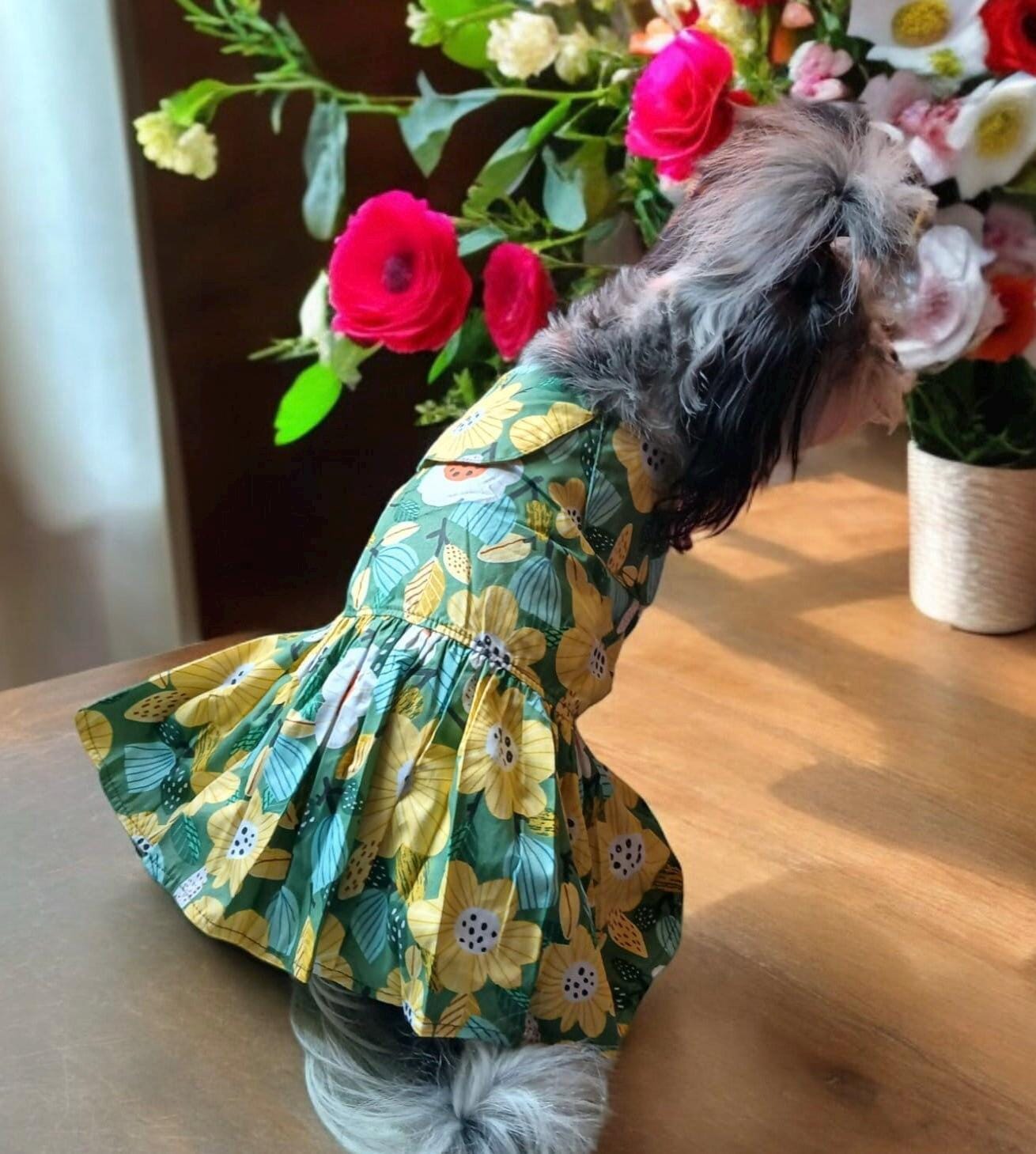 Green Dress for Dogs - Etsy