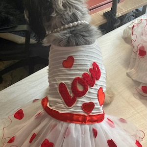 Tutu Birthday Dress,Dog Wedding Attire, Princess Dress, Custom Dog Dress, Dog Boutique, Dog Dress, Embroidered Dress, Dog Fancy Dress