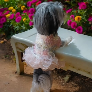 May include: A small, black and gray dog wearing a pink and white crocheted dress with a ruffled skirt. The dog is standing on a white bench in front of a bed of pink and yellow flowers.