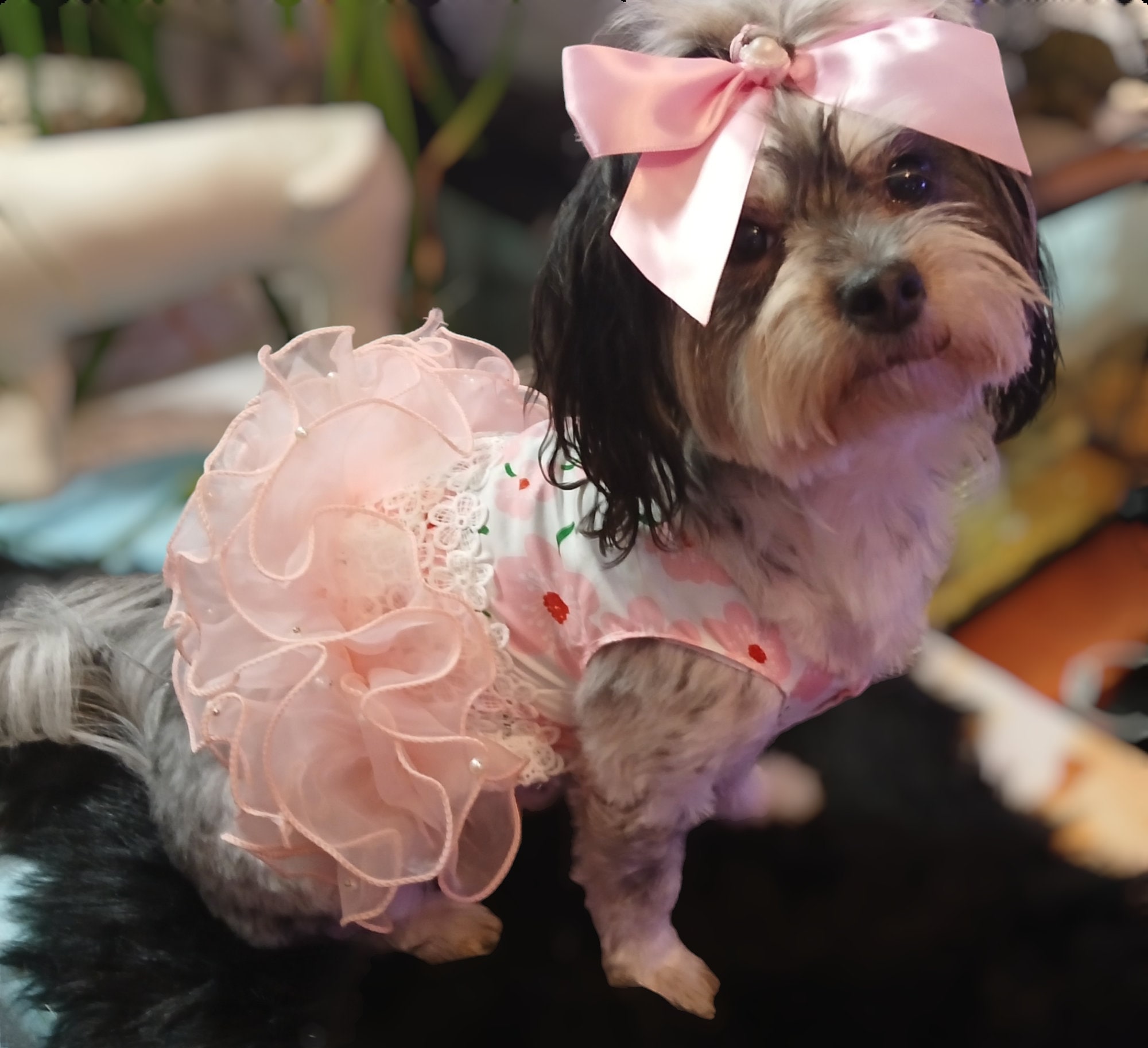 pink dog tutu dress Pastel Pink Dog Tutu Dress With Big Bow – Fancy Floral Dog Birthday Outfit,  Wedding Dog Dress for Small Breeds, Designer Pet Gift