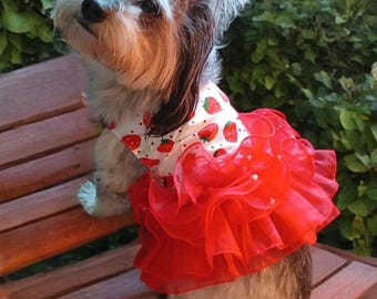 Strawberry Dog Tutu Dress, Small Dog Birthday Dress, Cotton Dog Dress with Tulle, Summer Dog Outfit, Cute Dog Clothes, Snap Closure