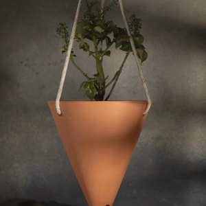 Könnte beinhalten: Ein terrakottafarbener, kegelförmiger Hängepflanzentopf mit einer kleinen Pflanze im Inneren. Der Pflanzentopf wird von einem weißen Seil gehalten. Die Pflanze hat grüne und weiße Blätter und kleine Blütenknospen. Der Hintergrund ist eine strukturierte graue Wand.