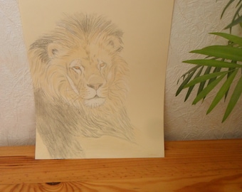 Lion, drawing, colored pencils
