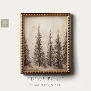 Antique Black Pine Trees Art Print - Unframed Charcoal Sketch Premium Wall Art for Winter & Christmas Decor - Vertical, Moody